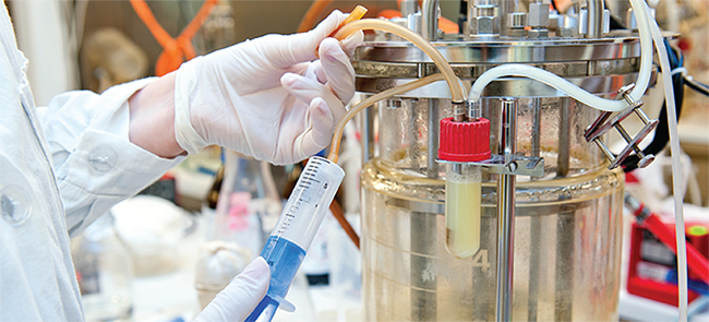 Upstream Bioprocessing